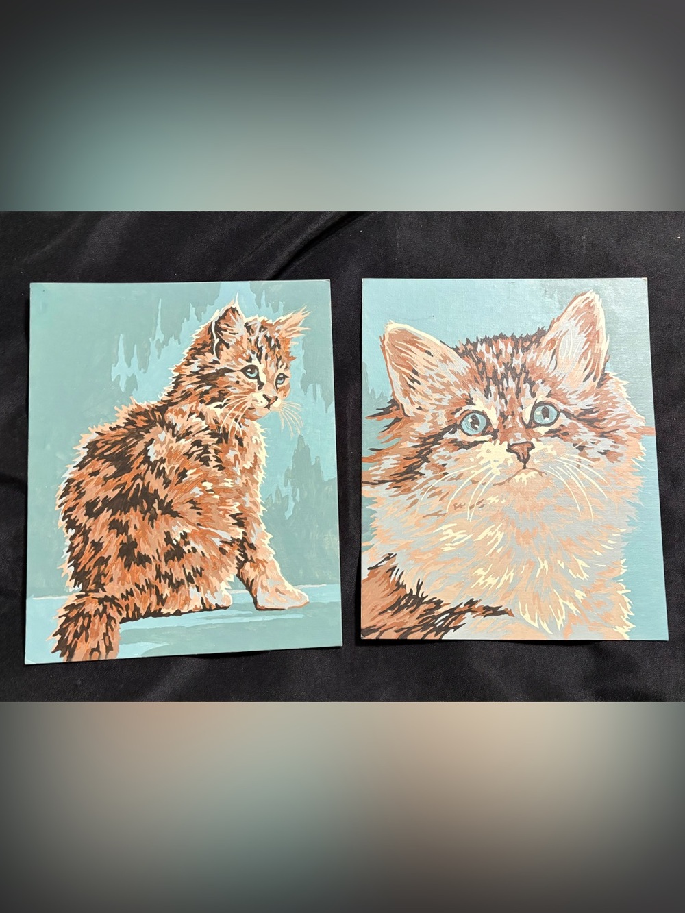 Vintage paint-by-number paintings. Kittens. Set of 2